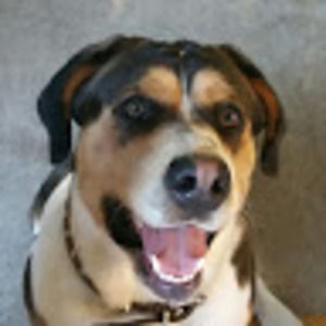 Meet your Posher, Sean